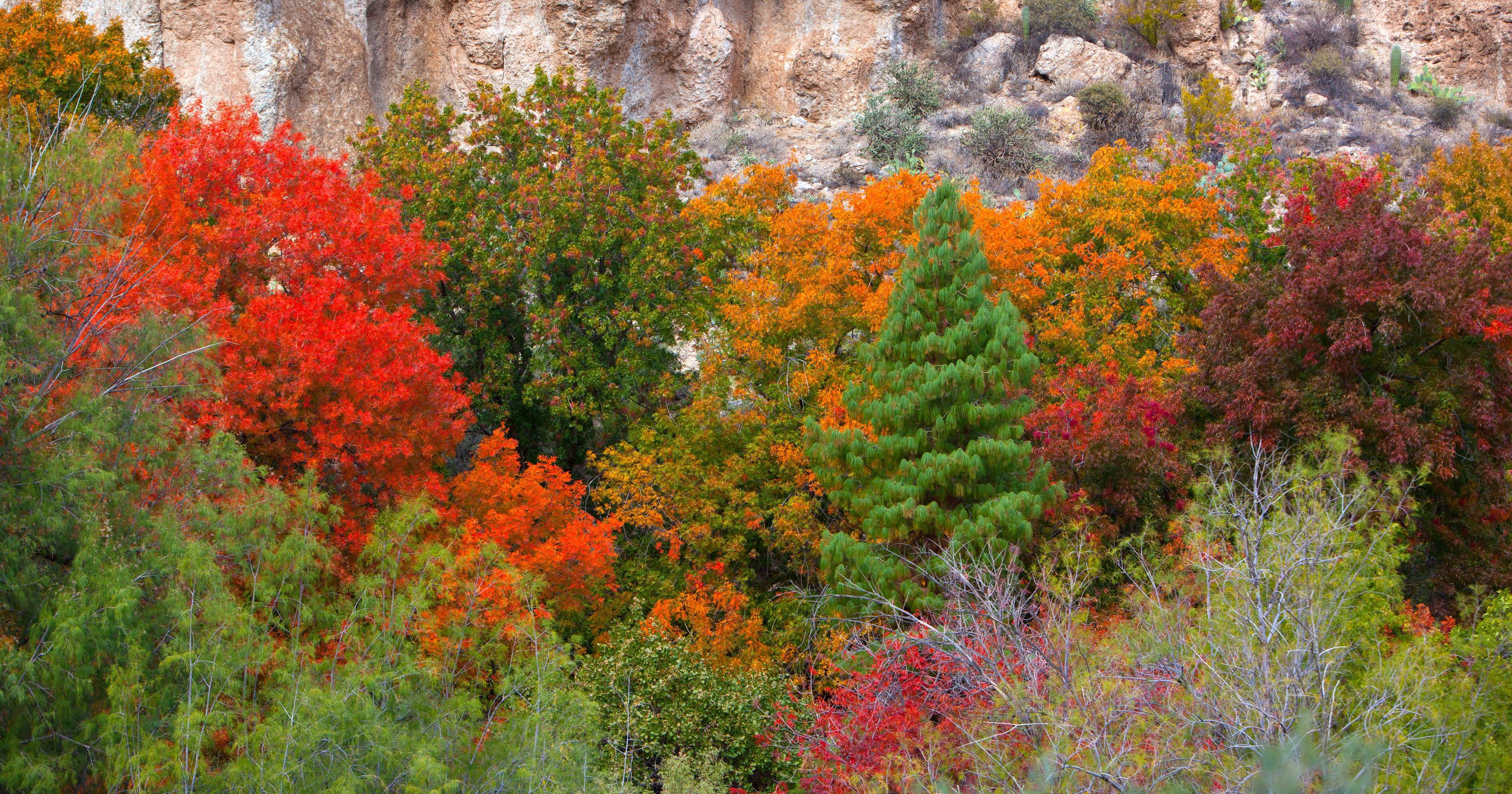 Things To Do In Payson AZ October Events