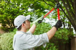 payson-realtor-spring-maintenance-tips